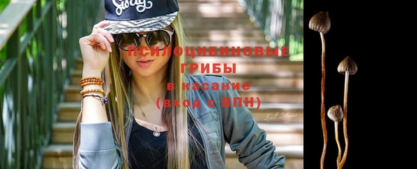 прущие грибы Кодинск