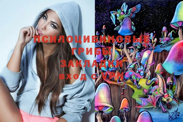 трава Козельск