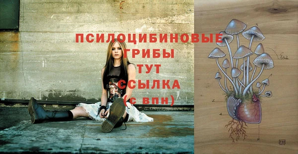 мдма Карпинск