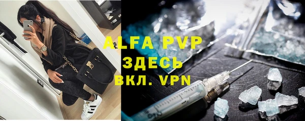 прущие грибы Кодинск