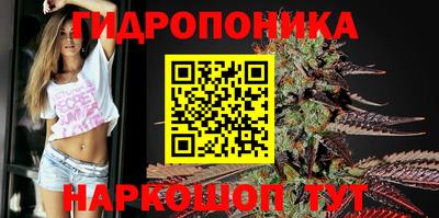 a pvp Ирбит