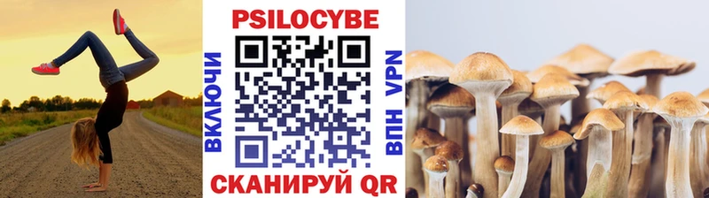 Псилоцибиновые грибы Psilocybe  Кыштым 