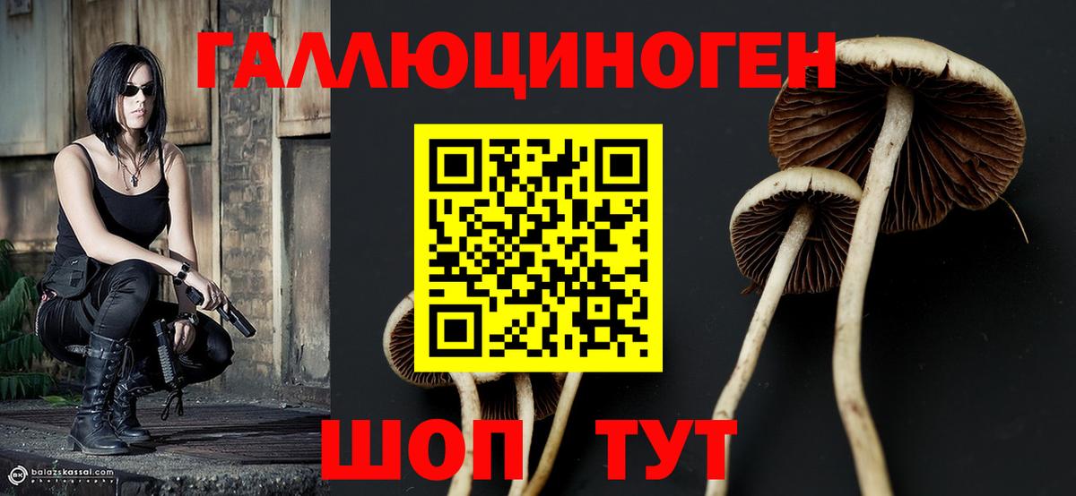 Псилоцибиновые грибы Psilocybine cubensis  Галлюциногенные грибы Magic Shrooms  Вход с VPN  наркошоп  Кыштым 